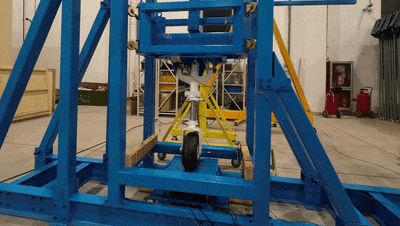 5.gif